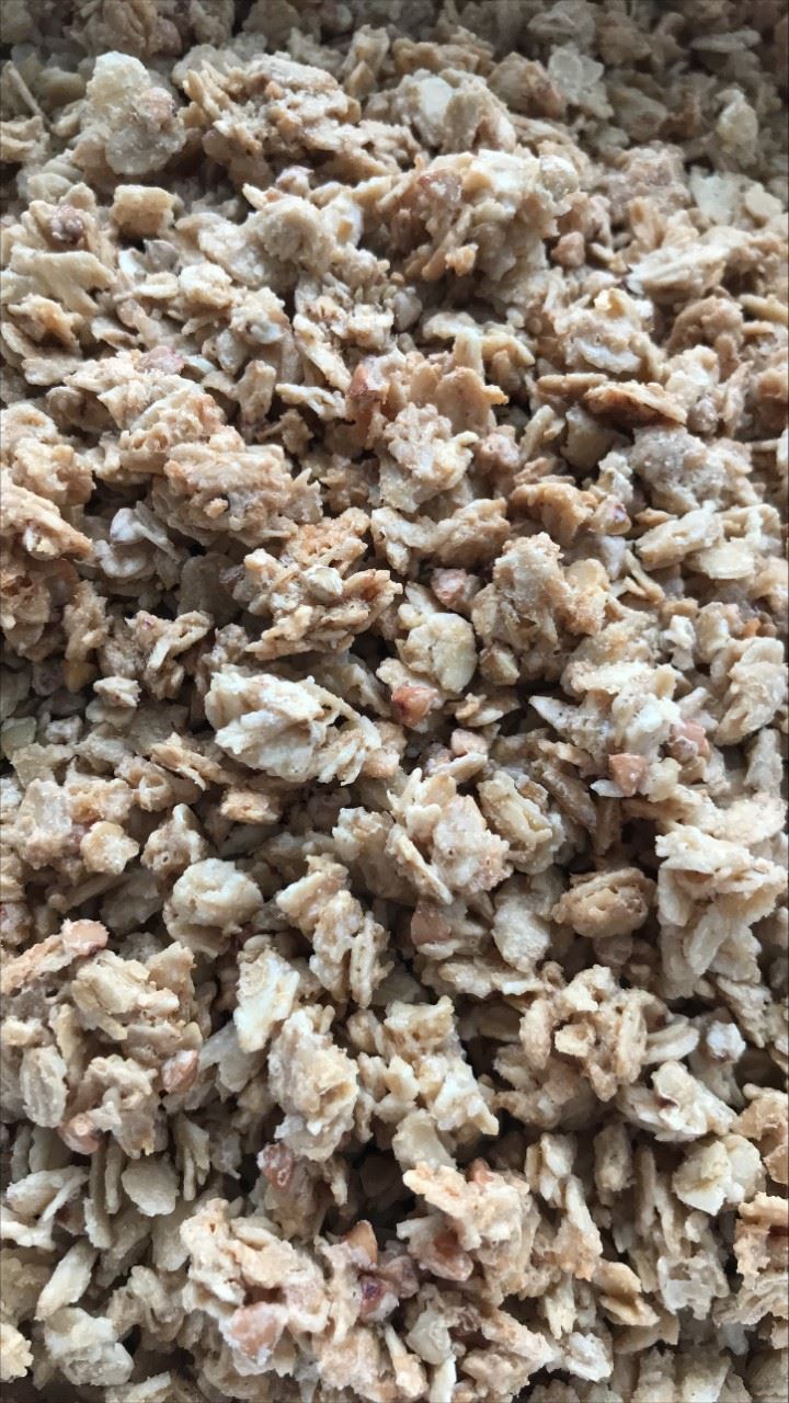 Granola Avoine Sarrasin biologique 310g