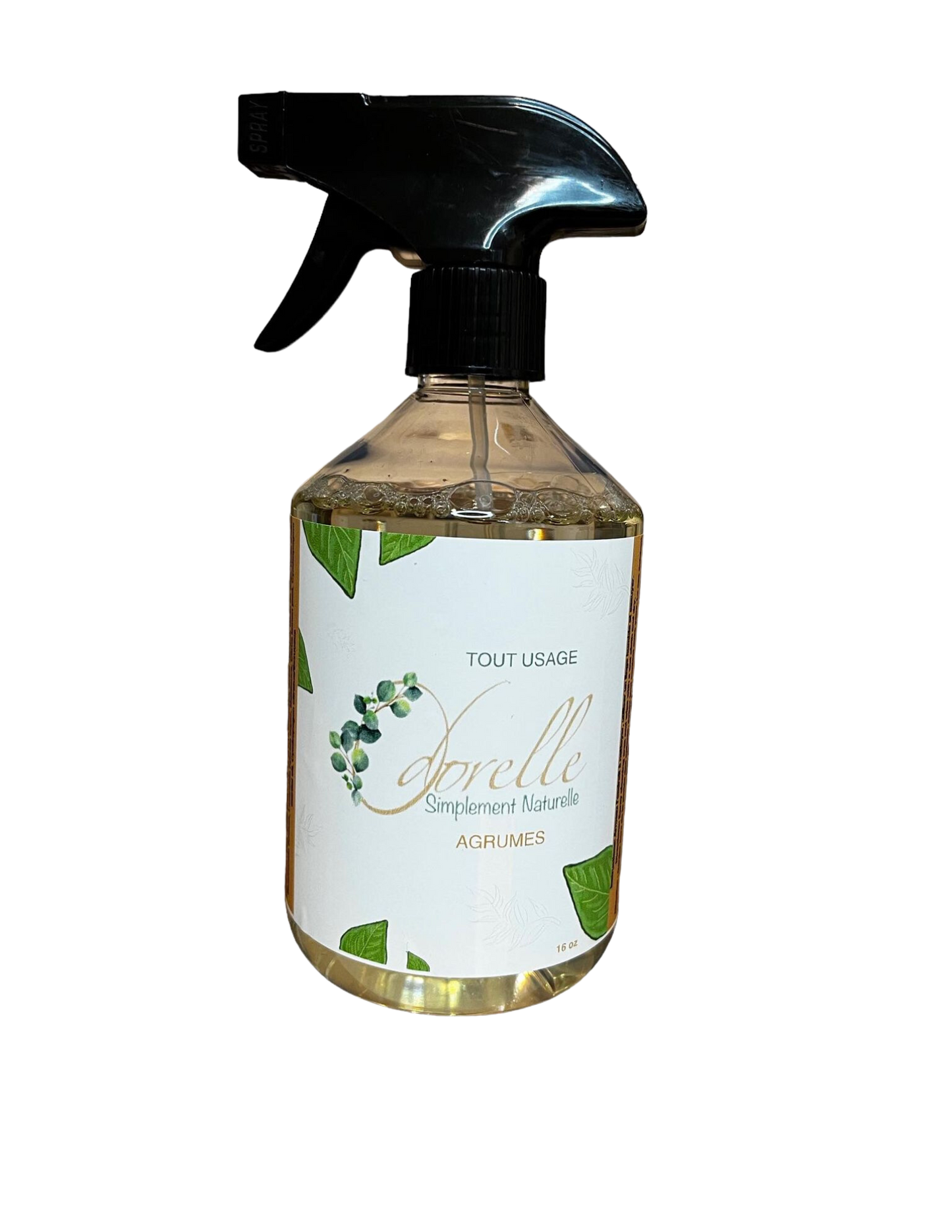 Nettoyant Tout usage - Forêt 16oz (473 ml)