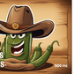 Marinades Bonbons cowboys 500ml