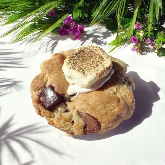 Biscuit Camping sauvage