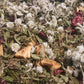 Tisane Chamane du Nord