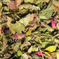 Tisane la Druidesse