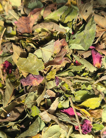 Tisane la Druidesse