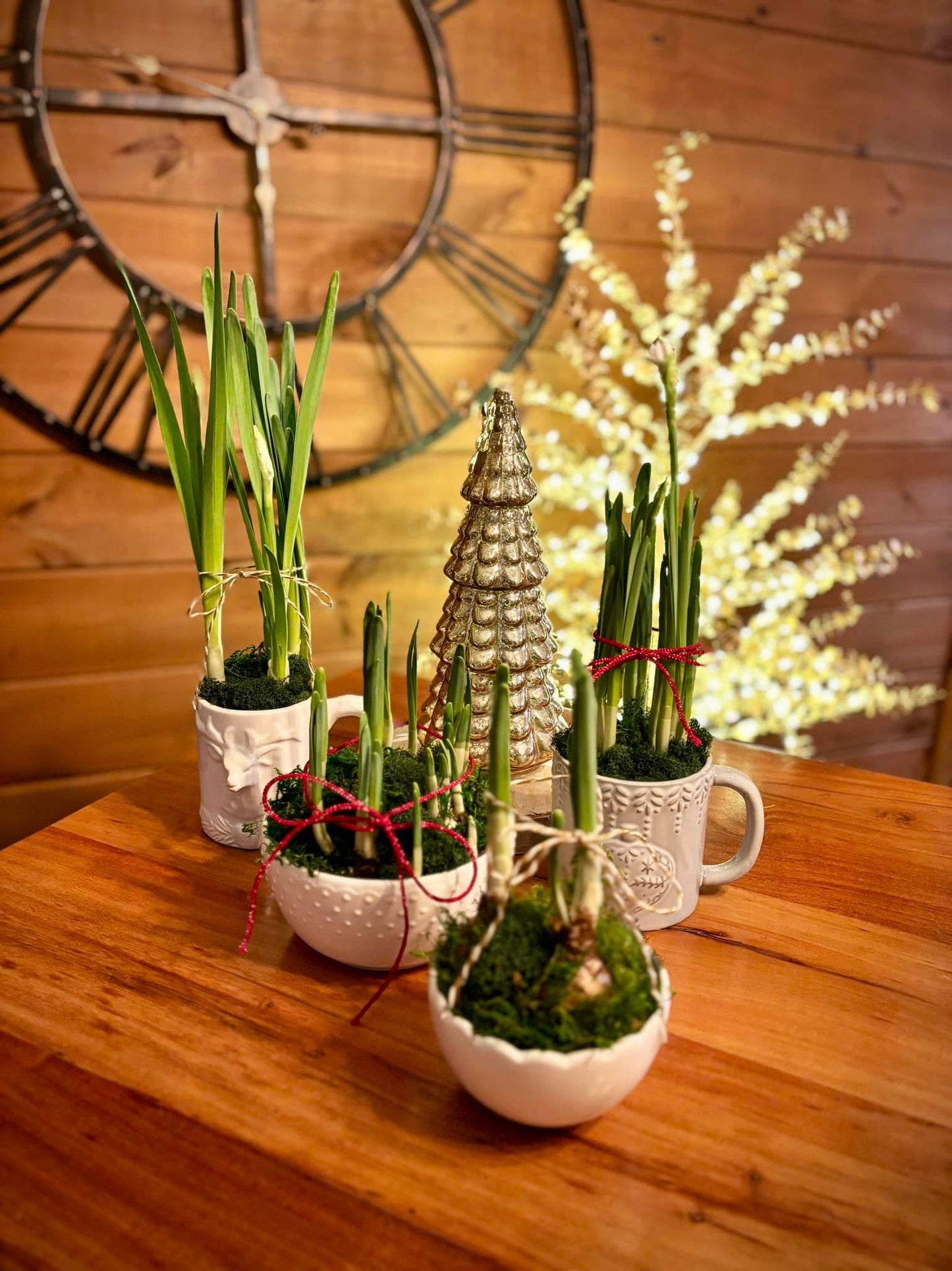 Narcisses - Tasse de Noël grise