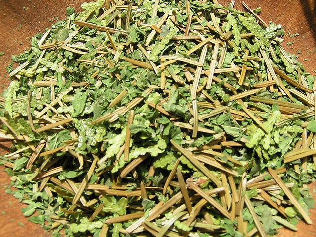 Tisane Sorcière des bois