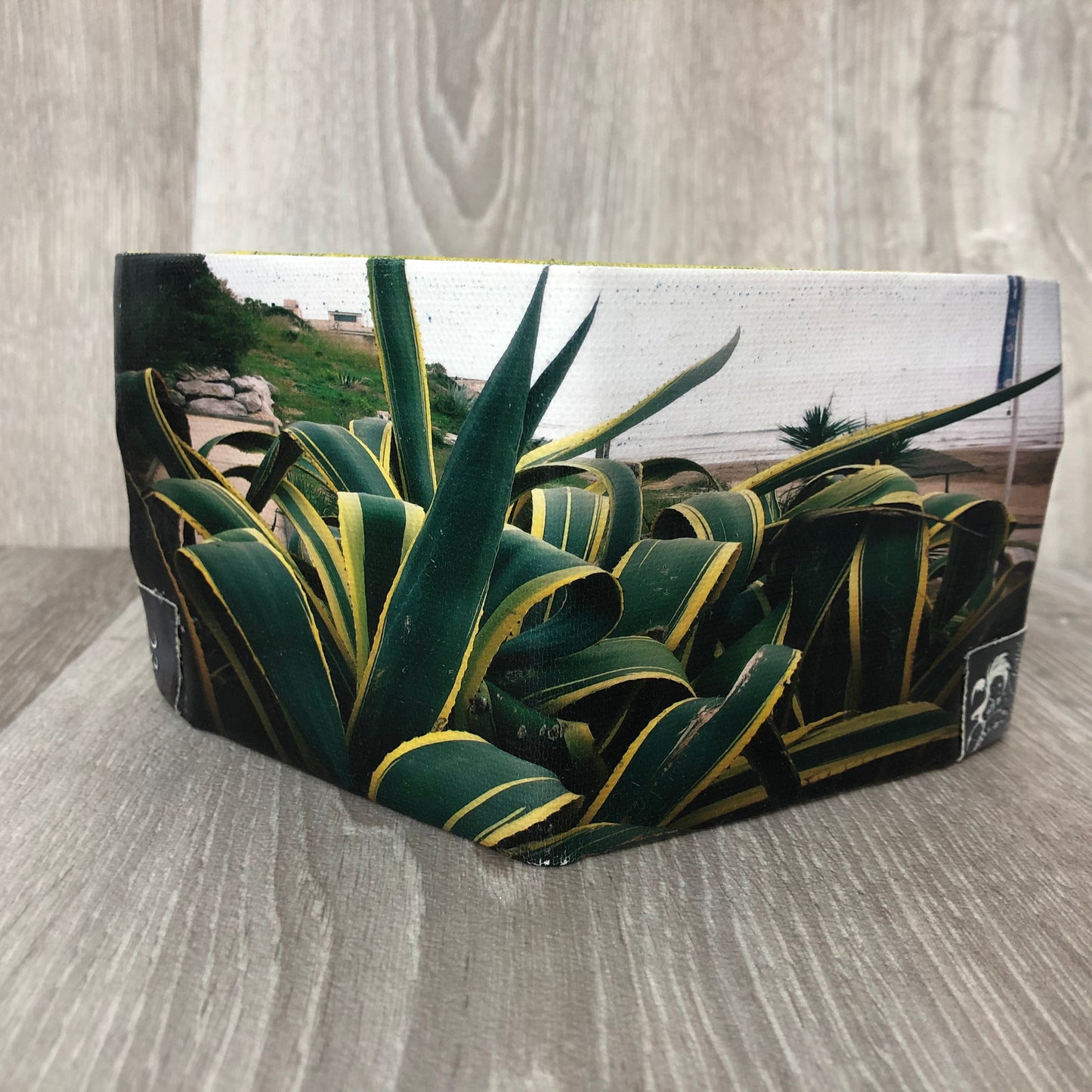 Portefeuille Plante verte